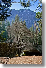 bridge, california, nature, plants, structures, trees, vertical, west coast, western usa, yosemite, photograph
