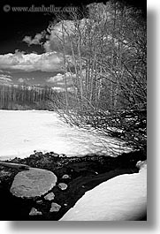 black and white, california, rivers, snow, stream, trees, vertical, west coast, western usa, yosemite, photograph