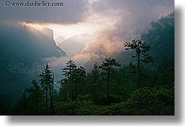 california, clouds, dawn, fog, horizontal, nature, trees, valley, valley view, west coast, western usa, yosemite, photograph
