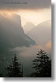 california, clouds, dawn, fog, nature, trees, valley, valley view, vertical, west coast, western usa, yosemite, photograph