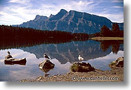 alberta, banff, birds, canada, canadian rockies, horizontal, mountains, reflect, photograph