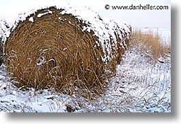 calgary, canada, hay, horizontal, photograph