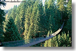 bridge, canada, capilano, horizontal, ropes, suspension, vancouver, photograph