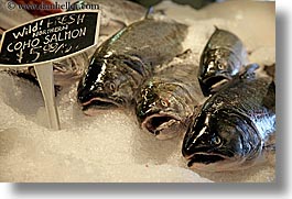 canada, horizontal, salmon, sockeye, vancouver, photograph