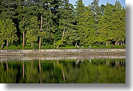 canada, horizontal, parkl, paths, reflections, stanley, stanley park, trees, vancouver, photograph