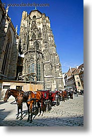 austria, europe, horses, st stephens, stephens, vertical, vienna, photograph