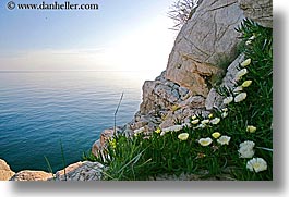 cliffs, croatia, dubrovnik, europe, flowers, horizontal, ocean, photograph