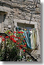 croatia, dubrovnik, europe, flowers, laundry, roses, vertical, photograph