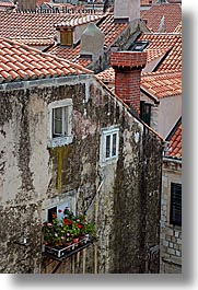 croatia, dubrovnik, europe, flowers, vertical, windows, photograph