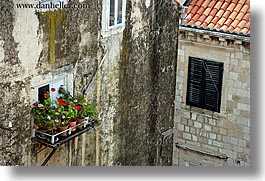 croatia, dubrovnik, europe, flowers, horizontal, windows, photograph
