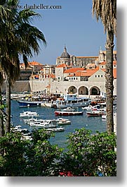 boats, croatia, dubrovnik, europe, harbor, palmtree, rooftops, towns, trees, vertical, photograph