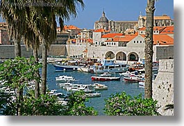 boats, croatia, dubrovnik, europe, harbor, horizontal, palmtree, rooftops, towns, trees, photograph