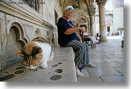 cats, croatia, dubrovnik, eating, europe, horizontal, womens, photograph