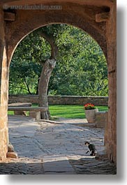 arches, archways, cats, cobblestones, croatia, europe, groznjan, materials, stones, structures, vertical, photograph