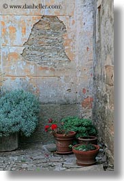 cobblestones, croatia, europe, green, groznjan, materials, plants, stones, vertical, walls, photograph