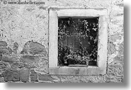 black and white, croatia, europe, green, groznjan, horizontal, plants, stones, walls, photograph