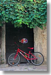 bicycles, croatia, europe, green, groznjan, ivy, red, vertical, photograph