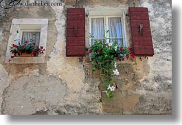 croatia, europe, flowers, groznjan, horizontal, perspective, upview, windows, photograph