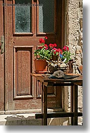 croatia, doors, europe, flowers, hvar, vertical, photograph
