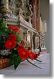 churches, croatia, europe, flowers, hvar, st stephan cathedral, vertical, photograph