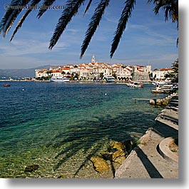 cityscapes, croatia, europe, korcula, palm trees, palmtree, shade tree, square format, water, photograph