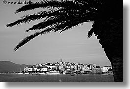 black and white, cityscapes, croatia, europe, horizontal, korcula, palm trees, palmtree, townview, water, photograph