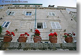 buildings, croatia, europe, flowers, geraniums, horizontal, korcula, potted, photograph