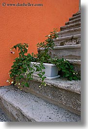 croatia, europe, flowers, korcula, stairs, vertical, photograph