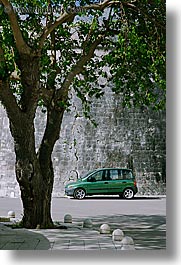 cars, croatia, europe, green, korcula, trees, under, vertical, photograph