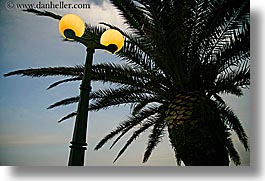 croatia, europe, horizontal, korcula, lamp posts, palm trees, palmtree, photograph