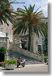 croatia, europe, korcula, motorcycles, palmtree, stairs, vertical, photograph