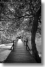 black and white, boardwalk, croatia, europe, forests, krka, slow exposure, vertical, photograph