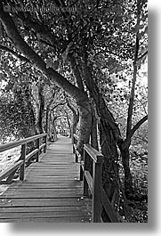 black and white, boardwalk, croatia, europe, forests, krka, long exposure, vertical, photograph