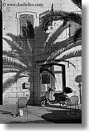 black and white, croatia, europe, milna, palm trees, shadows, vertical, walls, photograph