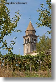 bell towers, croatia, europe, motovun, towns, trees, vertical, photograph