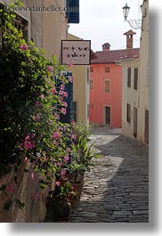 cobblestones, croatia, europe, flowers, materials, motovun, narrow streets, roads, stones, streets, towns, vertical, photograph