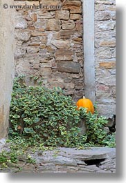 cobblestones, croatia, europe, materials, motovun, plants, pumpkins, stones, towns, vertical, photograph