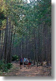 croatia, europe, forests, hikers, hiking, nature, people, pines, plants, rab, trees, vertical, photograph