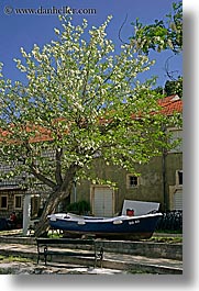 boats, croatia, europe, flowering, flowers, sipan, trees, under, vertical, photograph