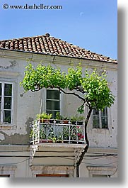balconies, croatia, doors, europe, flowered, flowers, sipan, trees, vertical, photograph