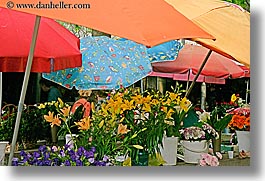 croatia, europe, flowers, horizontal, market, split, umbrellas, photograph