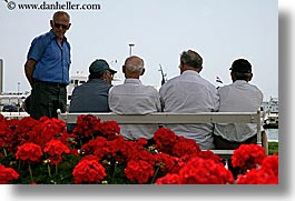 croatia, europe, geraniums, horizontal, men, old, sitting, split, photograph