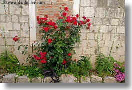 croatia, europe, flowers, horizontal, trogir, photograph