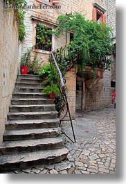 croatia, europe, flowers, plants, stairs, trogir, vertical, photograph