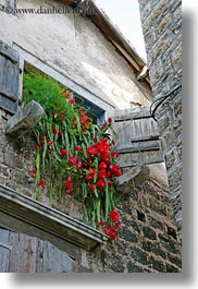 croatia, europe, flowers, perspective, trogir, upview, vertical, windows, photograph