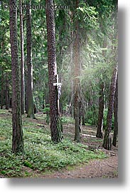 czech republic, europe, jesus, sumava forest, trees, vertical, photograph