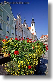 czech republic, europe, flowers, telc, vertical, photograph