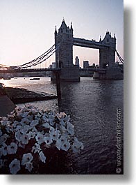 bridge, cities, england, english, europe, london, sunsets, tower bridge, towers, united kingdom, vertical, photograph