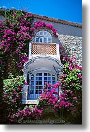 cannes, europe, flowers, france, vertical, windows, photograph