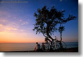 bicycles, bikes, europe, france, horizontal, ile de re, sunsets, trees, water, photograph